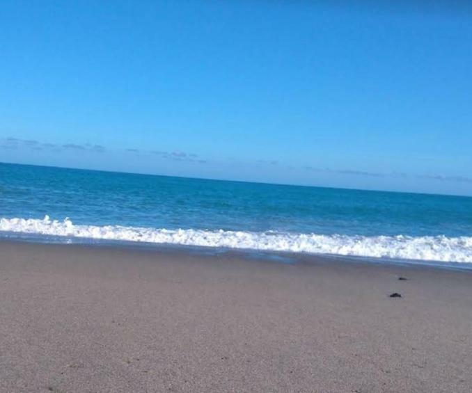 Raffaello Beach Apartment - 50 M From The Sea - Wifi Savona Luaran gambar